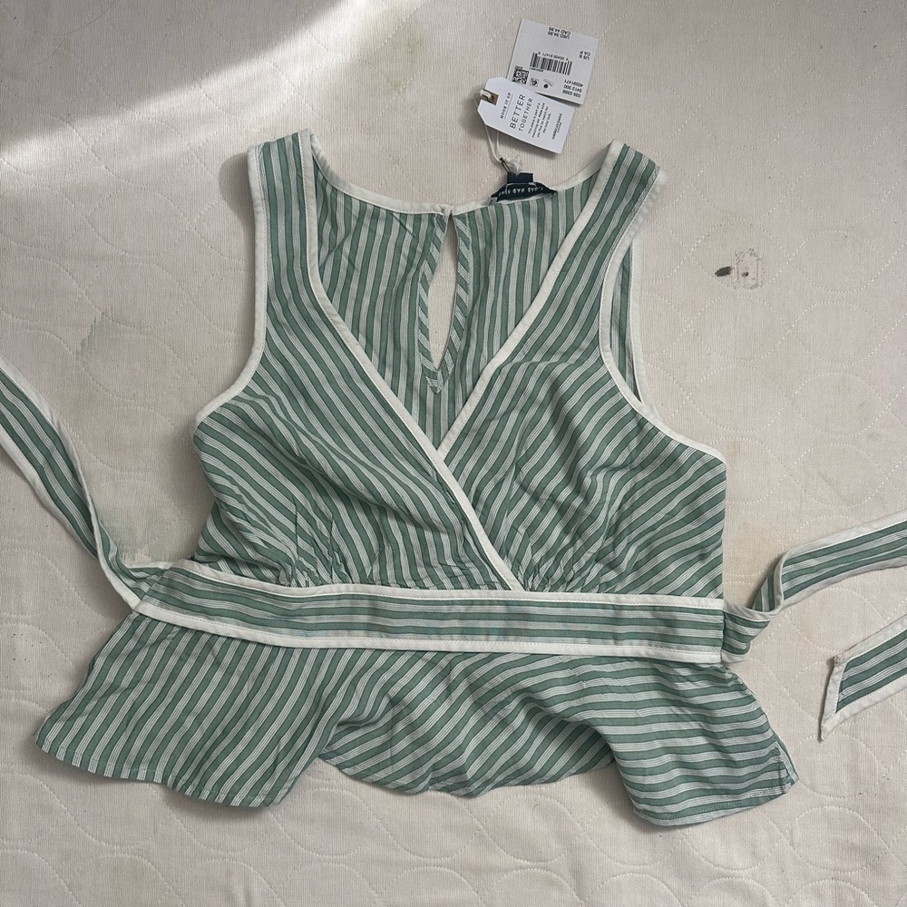 American Eagle Outfitters Green and White Striped Tank Top